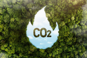 co2-neutralization